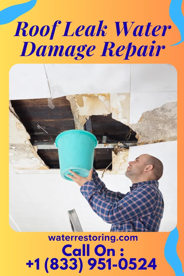 Roof Leak Water Damage Repair in Niles, MI